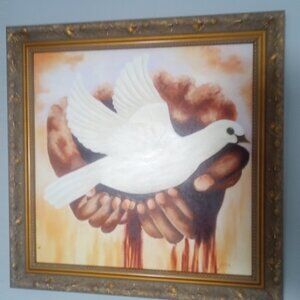 White Dove Signed original work Art , Professional framing